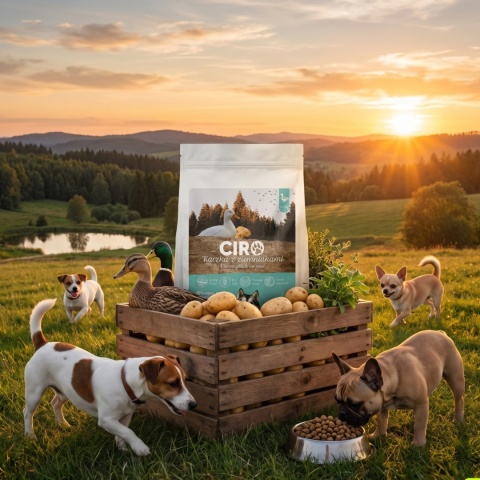 KARMA SUCHA DLA PSA DZICZYZNA Z ZIEMNIAKMI dla małych rasa 1.5kg CIRO